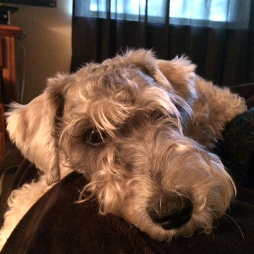 Meet your Posher, Rachael